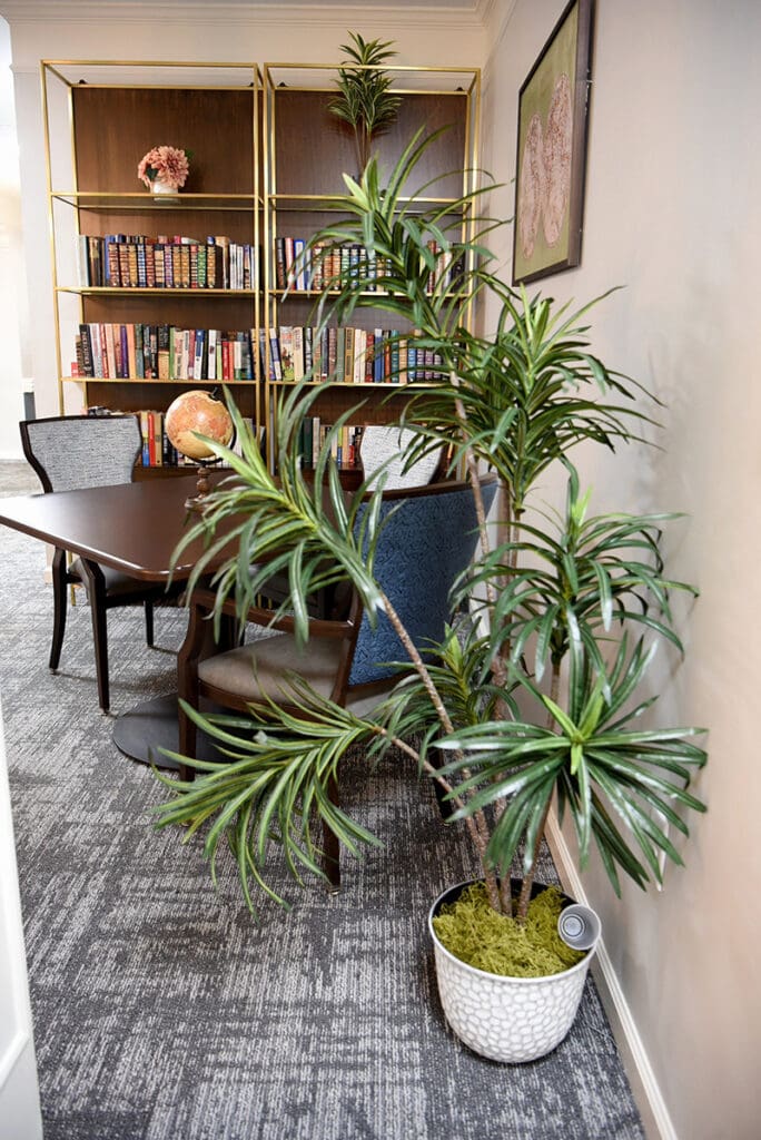 seating area near bookcases and plant