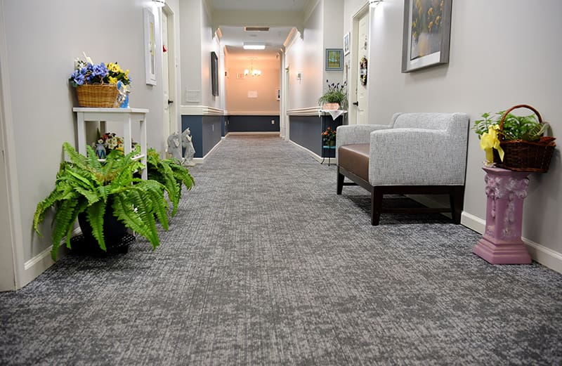 beautiful hallway with seating, plants and art