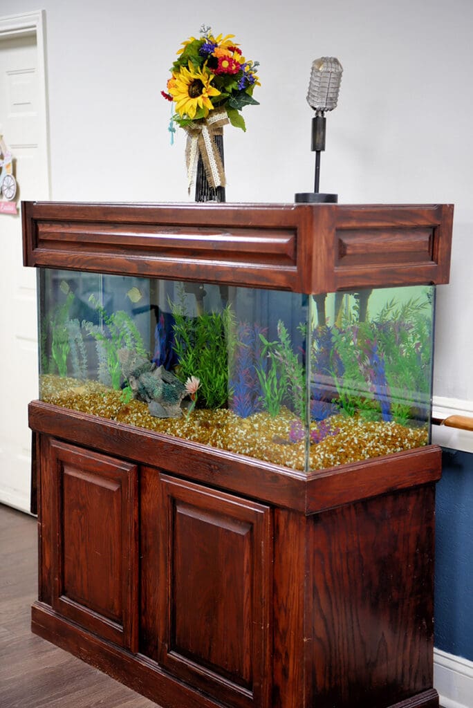 large fish tank